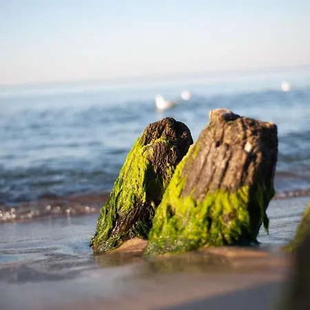 Jantar Wellness & Hotel 3*